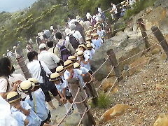 �I�p�s��������̋ʎq�����ւ̓��e�ʐ^1