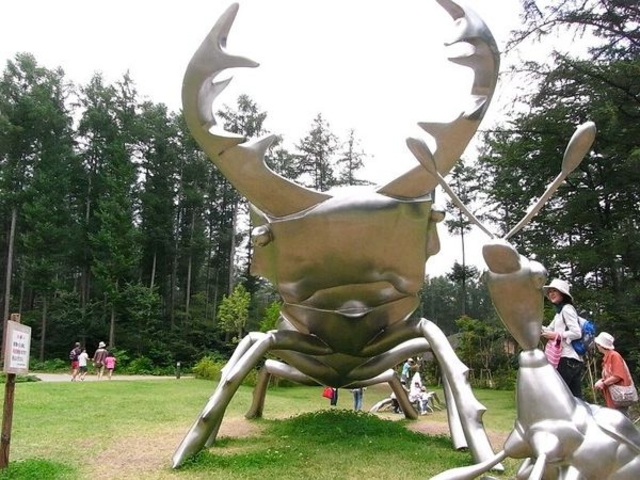 ���c�A���v�X���Â݂̌����@�x���E�䍂�n��