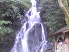 くりちゃんさんの調音の滝公園の投稿写真1