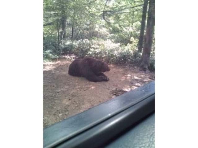 �T�z�����]�[�g�@�x�A�E�}�E���e��