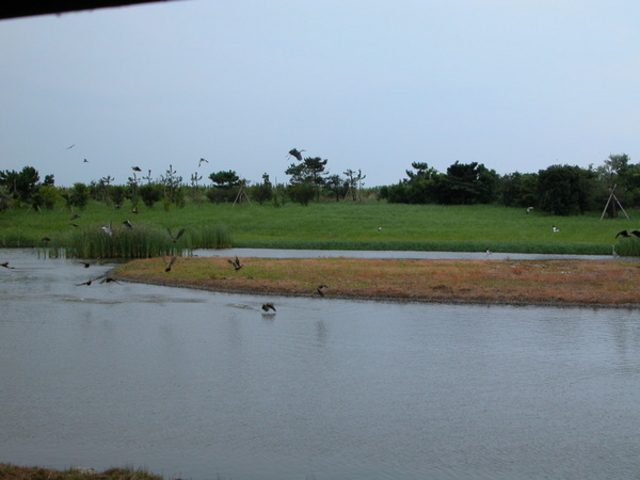 �C���o�[�h�p�[�N�i�x�R�V�`�ՊC�쒹���j