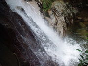 邳̌̑iꌧsj̓eʐ^1