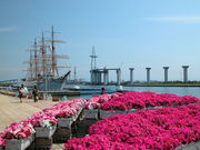 kazumiringo̊Cۃp[N̓eʐ^1