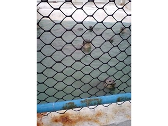 �m�V���b�v����������