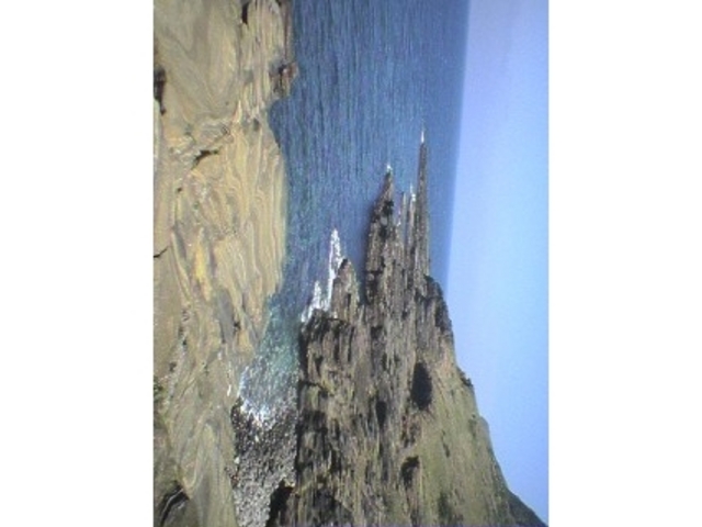 hiro����̍��㓇�̓��e�ʐ^1