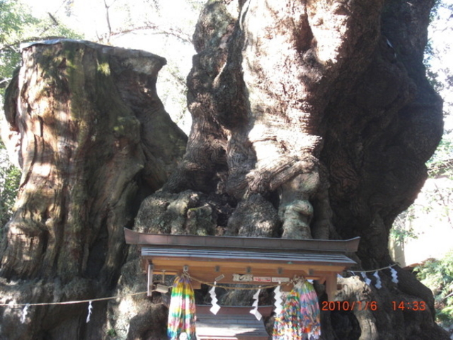 川津来宮神社(杉桙別命神社)