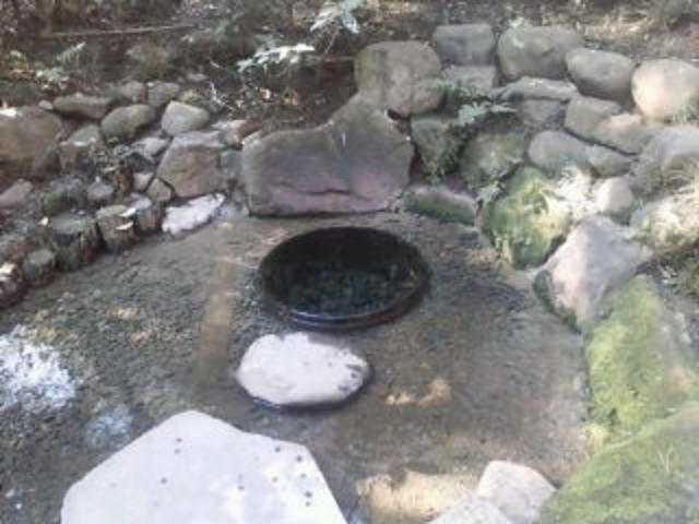 �����_�{����