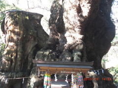 ナベさんの川津来宮神社（杉桙別命神社）の投稿写真1