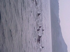 x̓쓇CJEHb`Oւ̓eʐ^1