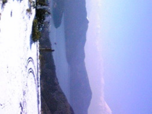 �A�l�X�g��c�@�^�[���p�C�N����