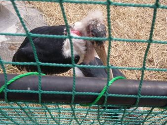 �H�g�䎩�R���������T�t�@�������h