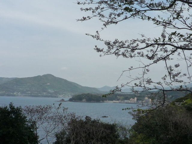 �肦�Ղ�����̓��̎��C�ݓ��H�����؂̓��e�ʐ^1