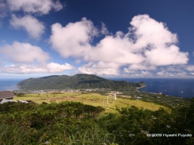 �ӂꂠ���q��W�]��