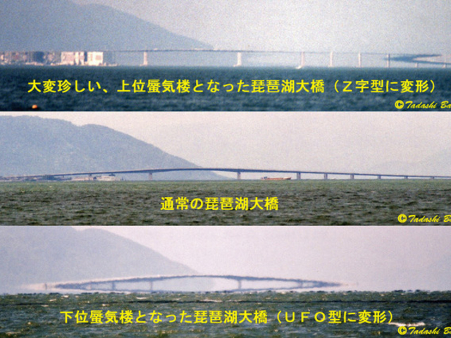 qfV̔i΂凋CO̓eʐ^1