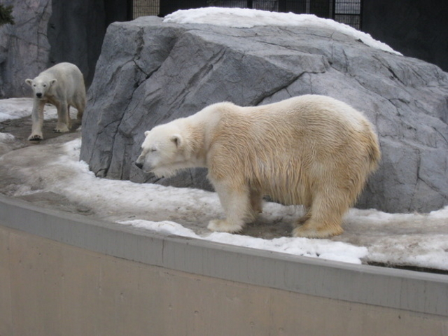 ���R������