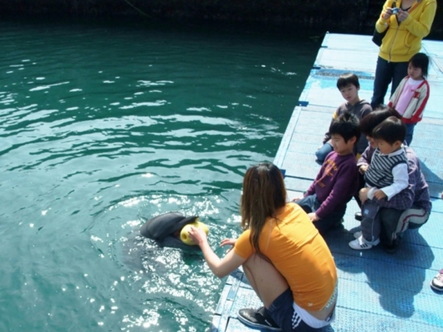 ���˃h���t�B���Z���^�[