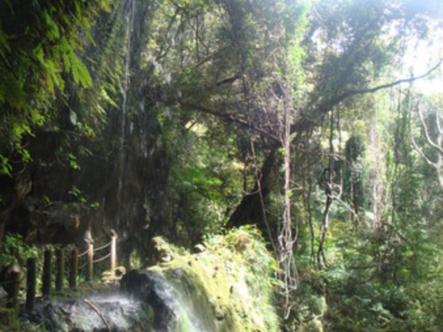 �����P��