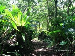 �s������A�������̎ʐ^1