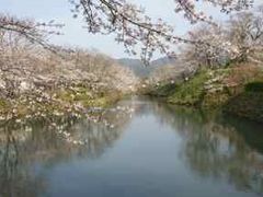 もーもんじゅさんの鹿野城跡公園のクチコミ 鹿野城跡公園の口コミ じゃらんnet