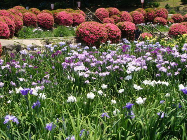 É݂̂}[N̓̏Ҋ̓eʐ^1