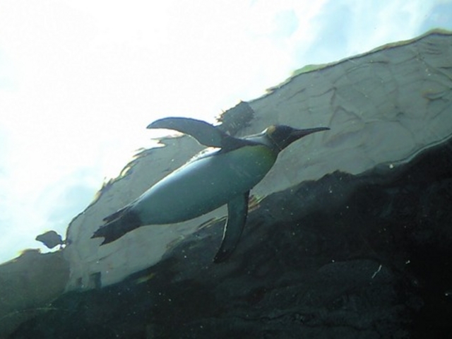 ���R������