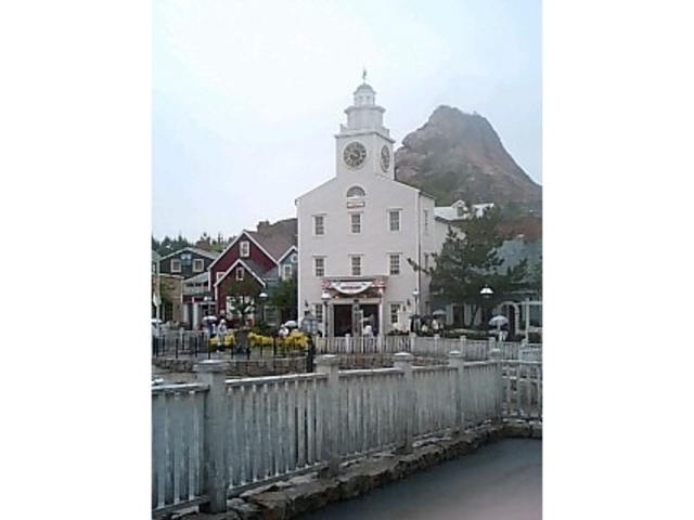 �����f�B�Y�j�[�V�[(R)