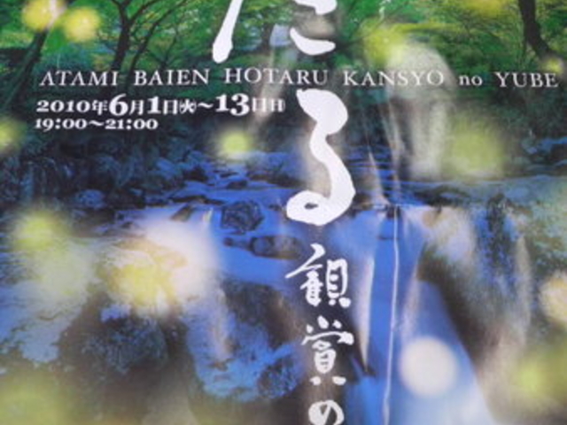 �M�C�~�������쐴��