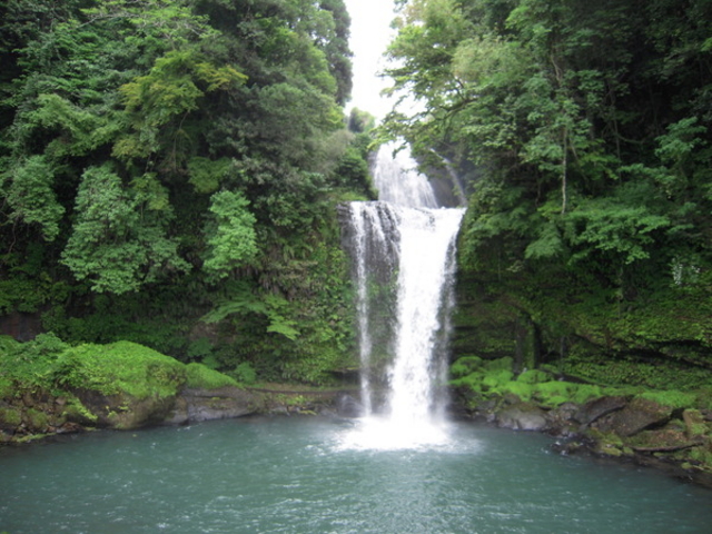 �����̑�