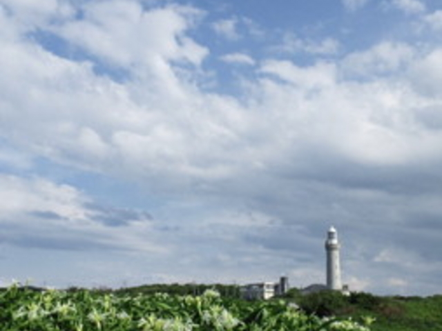 �p������g�̌����^��������