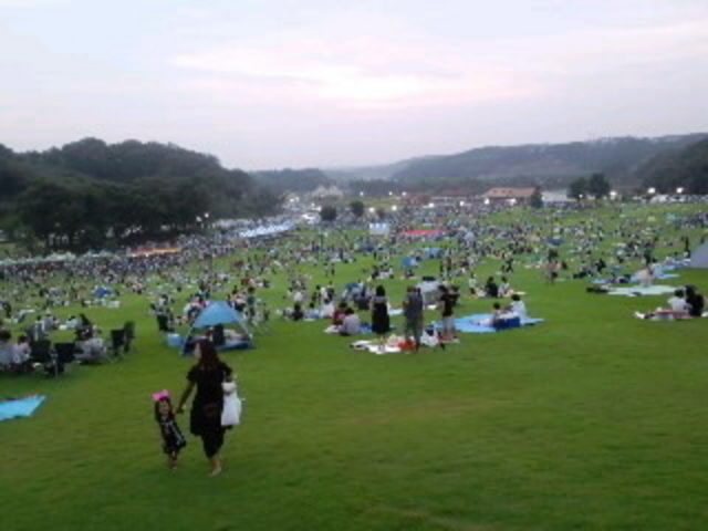 �����h�C�c��