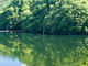 ヤマメさんの洞元湖（体験観光）の投稿写真1