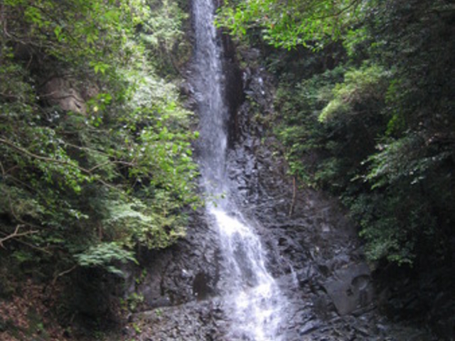 �e�����񂳂�̐嗎���̑�̓��e�ʐ^1