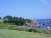 񂳂݂̂̂gCi퍷CݗVj̓eʐ^1