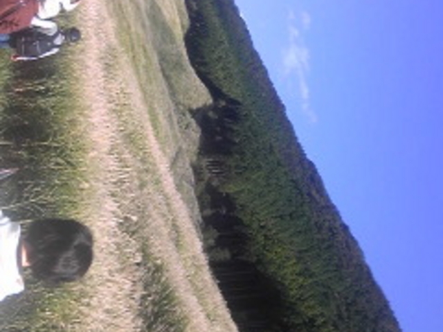 ��Ό�����