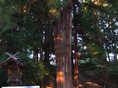 �z�K��Џ�ЁE���Ђ̎ʐ^1