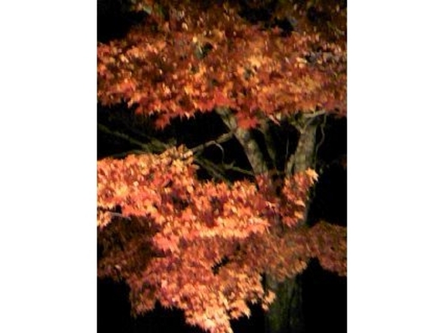 `񂳂̎R [Ă̏W]̓eʐ^1