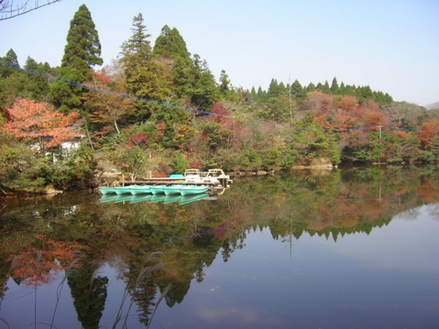 `̉_唒_̒rLv̓eʐ^1