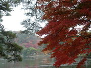 炨񂿂񂳂̓Ό̓eʐ^1