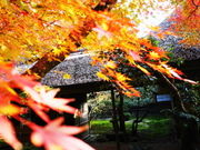 |̋NiɒOƕʓ@j̓eʐ^1