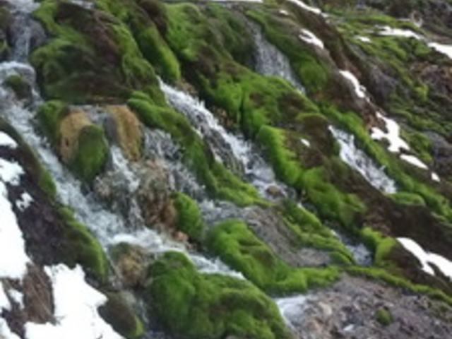 �`���c�{�~�S�P����