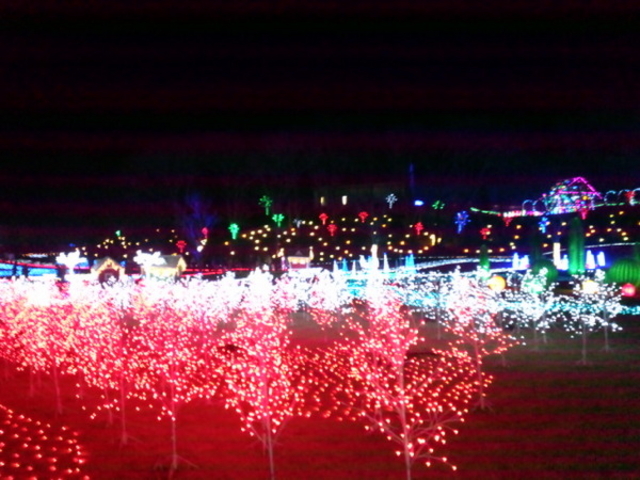 �����h�C�c��