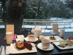 �܂䂳��̃��@�~���[�@�h�D�@�A�b�V���ւ̓��e�ʐ^1