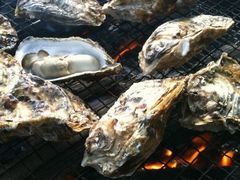 �󂭂񂳂�̑������܂ǂւ̓��e�ʐ^1