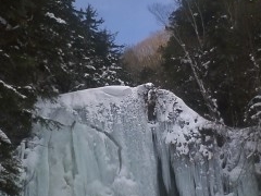 񂯂񂳂̑PܘY̑ւ̓eʐ^1