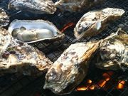 󂭂񂳂̑܂ǂ̓eʐ^1