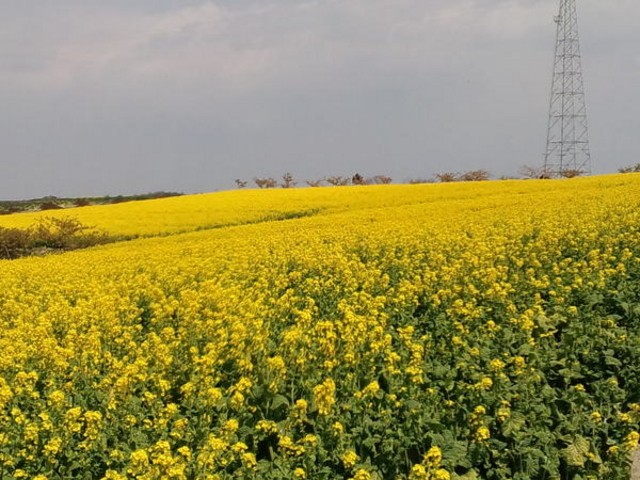 �ό��_���ԂЂ��