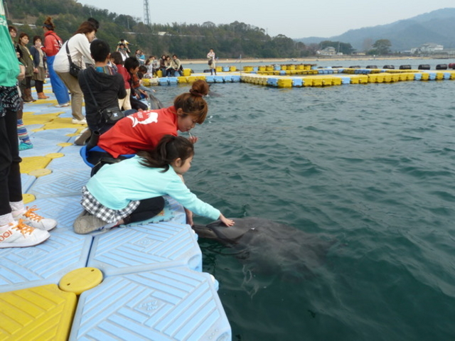 ���{�h���t�B���Z���^�[