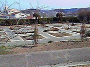 ܂コ̃fBJn[uK[f@̖؁@򍁑̓eʐ^1