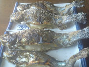 䌫l̞w_(̂)ۃ}Xޏ̓eʐ^1