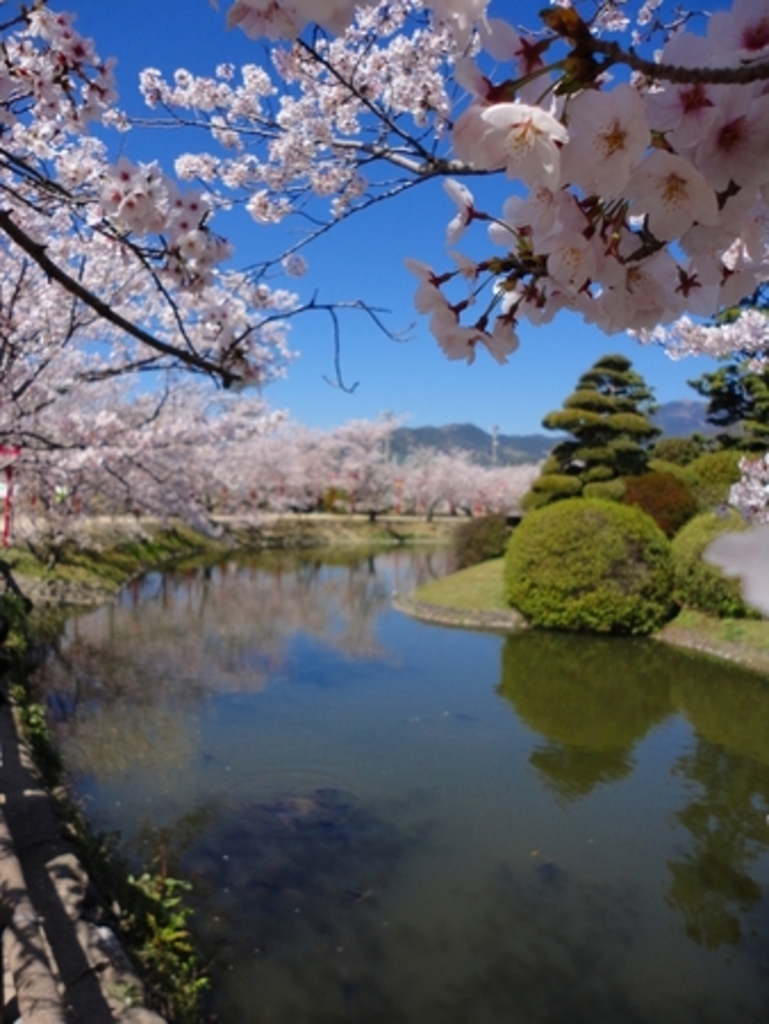 小城市の動物園・植物園ランキングTOP3 - じゃらんnet